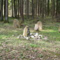 Münster Wald mit Steinkreis