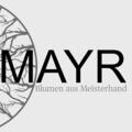 Blumen Mayr Logo