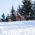 Rodeln Panoramaweg Reither Kogel