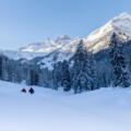 Winterwandern Gauertal