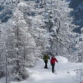 Winterwandern - Sölden