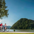 Donauradweg bei Schlögen