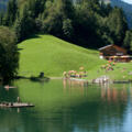 Seewaldsee