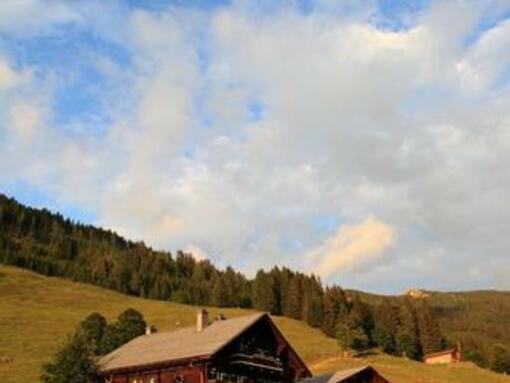 Breitenebenalm, 1.420 m